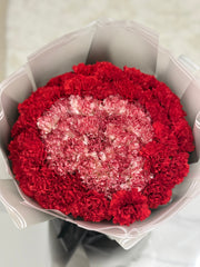Red Carnation Blooming Bouquet